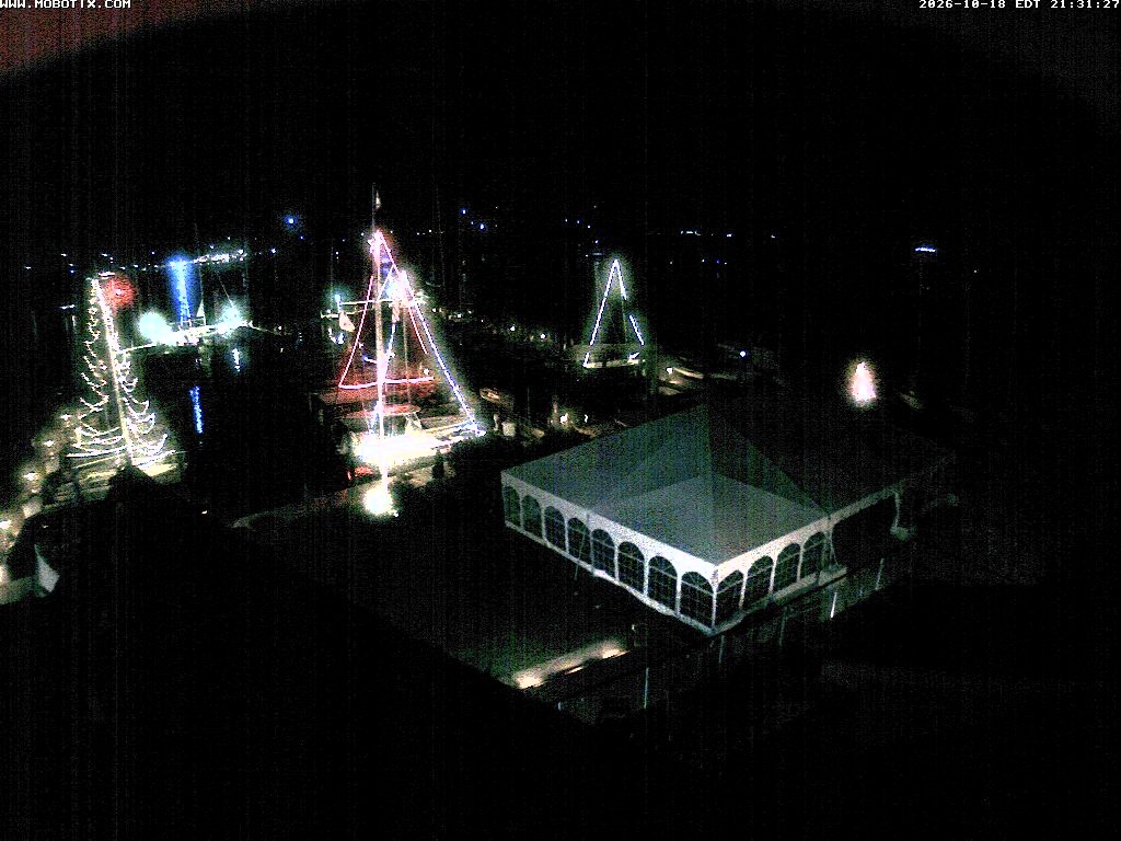 Camera Live Image