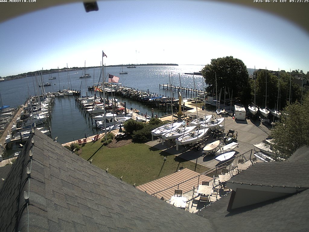 Camera Live Image