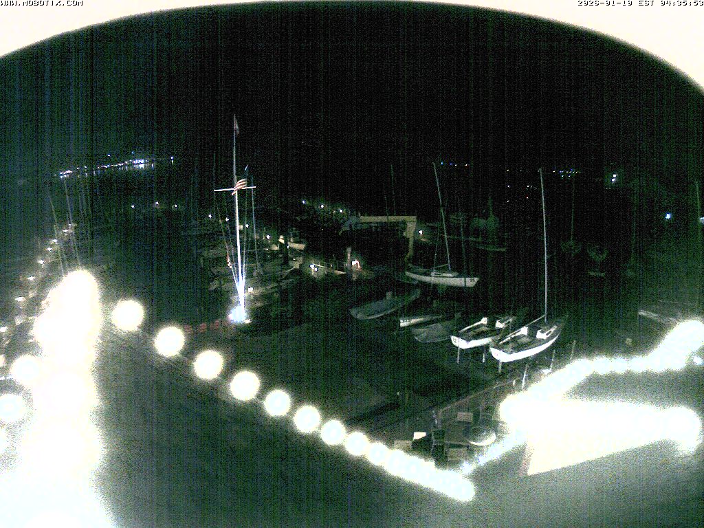 Camera Live Image