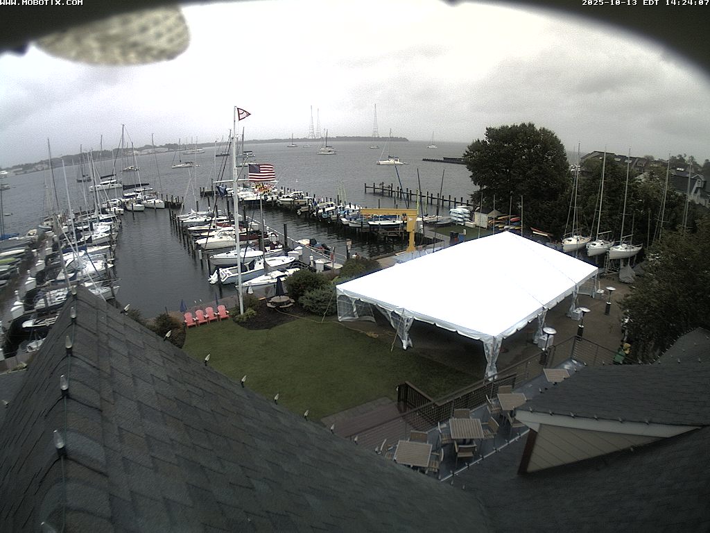 Camera Live Image