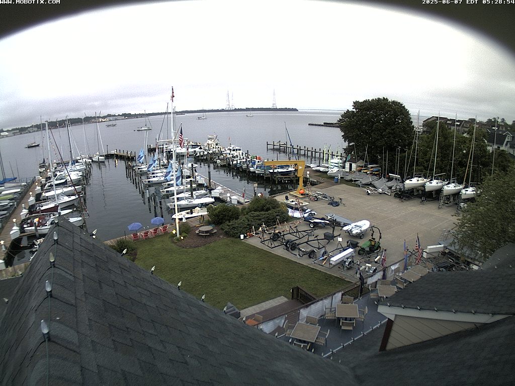 Camera Live Image