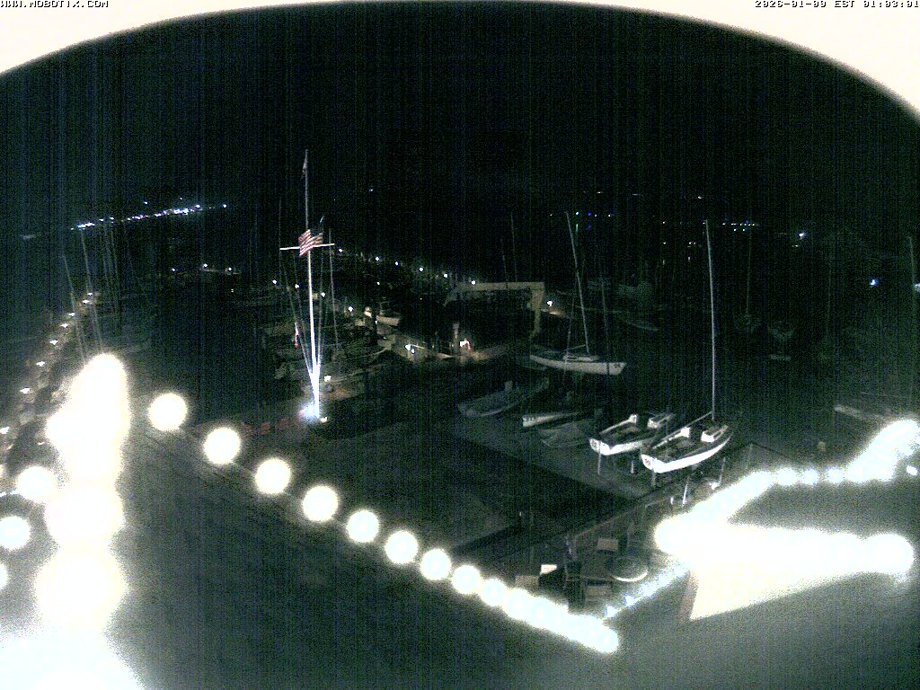 Camera Live Image