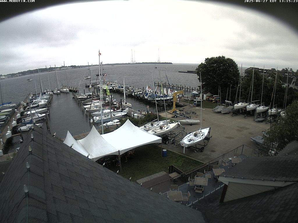 Camera Live Image